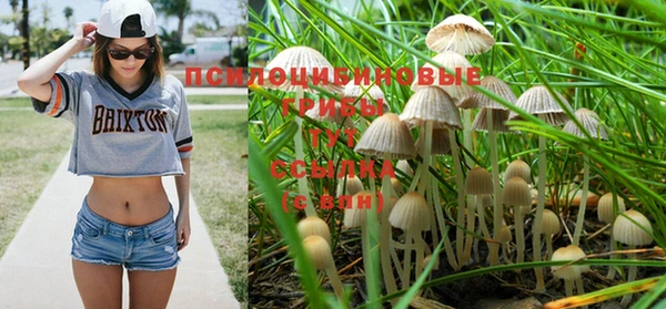 ALPHA-PVP Абинск
