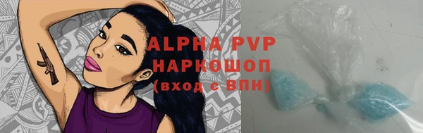 ГАЛЛЮЦИНОГЕННЫЕ ГРИБЫ Абаза