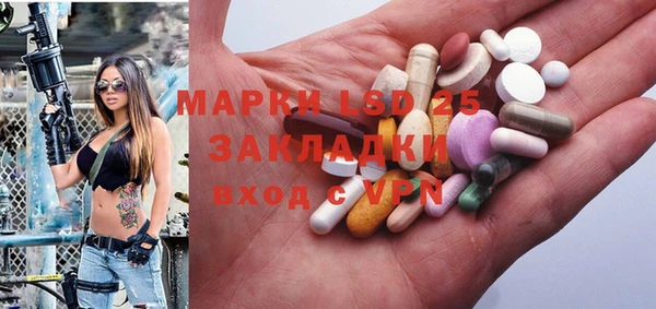 ГАЛЛЮЦИНОГЕННЫЕ ГРИБЫ Абаза
