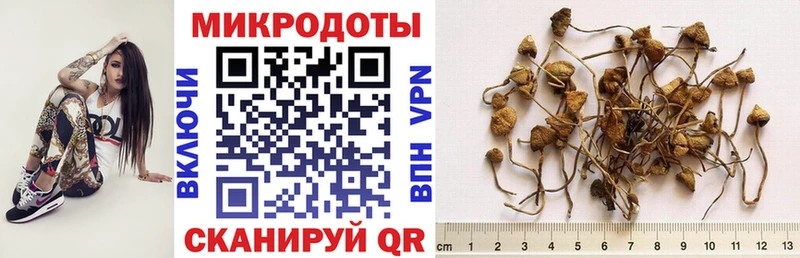 Псилоцибиновые грибы ЛСД  Опочка 